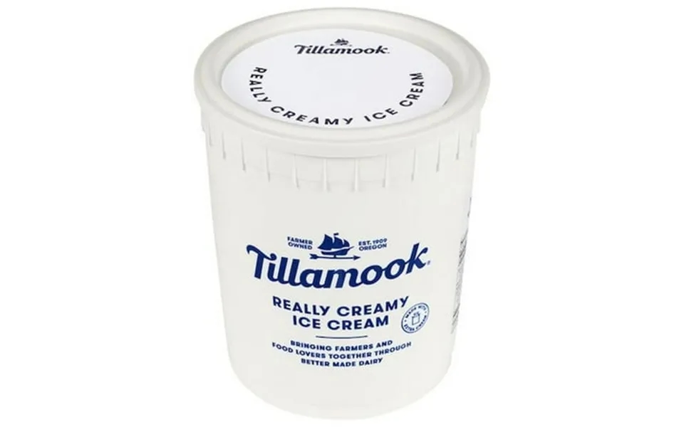 Tillamook Chocolate Ice Cream 3 Gallon