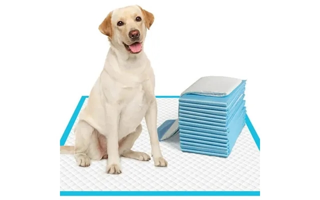 Tinglu 100pack Dog Puppy Pee Pads Disposable Pet Underpads For Potty Training Pad product image
