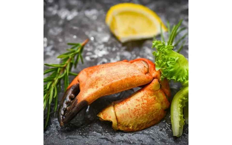 Today Gourmet Florida Stone Crab Claws - Colossal 1-2 Claws Per Lb