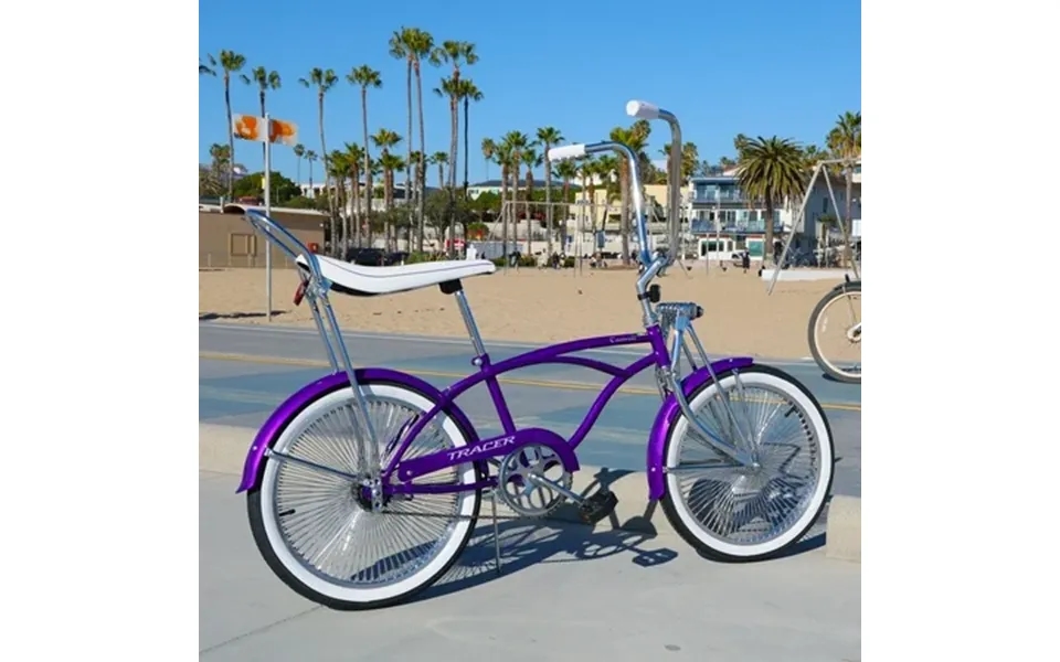 Tracer Tamron 20 Lowrider Bike 20 Inch Wheel Size Beach Cruiser Bike For Teens Adults Banana Seat Purple City Commute Bi