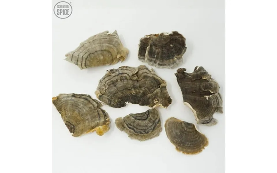 Turkey Tail Mushrooms Dried