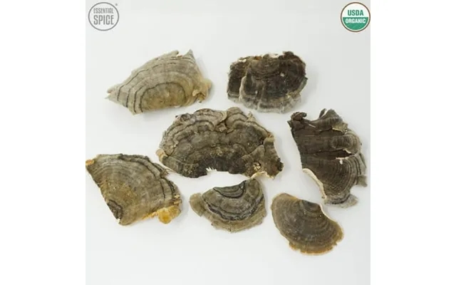 Turkey Tail Mushrooms Organic Dried product image