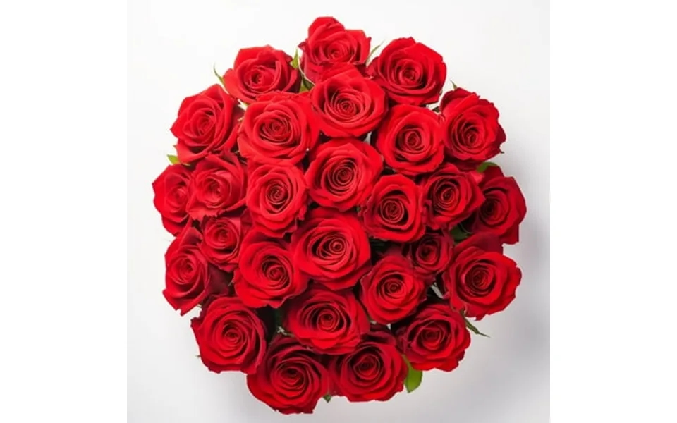 Two Dozen Red Roses- Beautiful Fresh Cut Flowers- Express Delivery