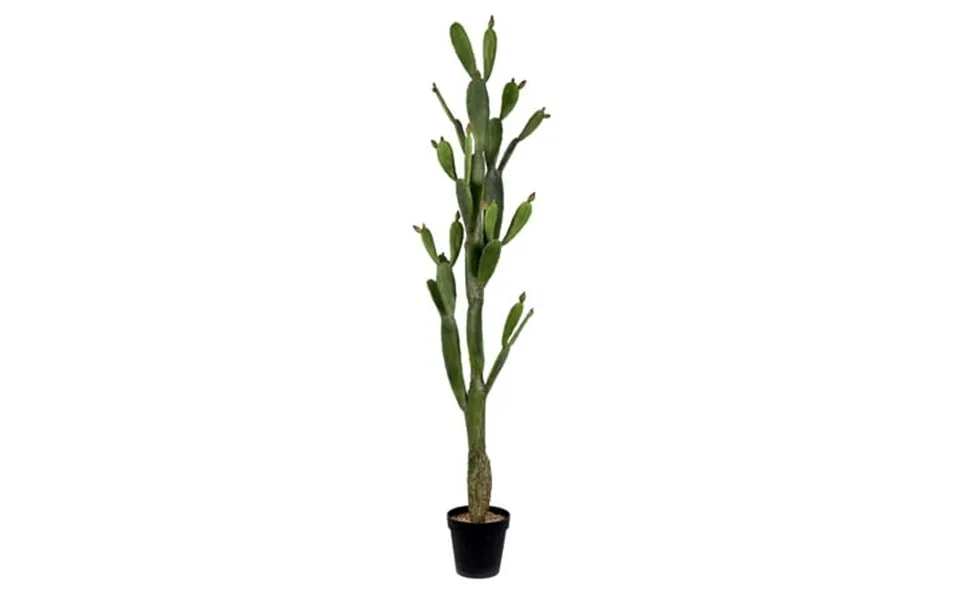 Vickerman 80 Artificial Green Cactus Black Plastic Planters Pot