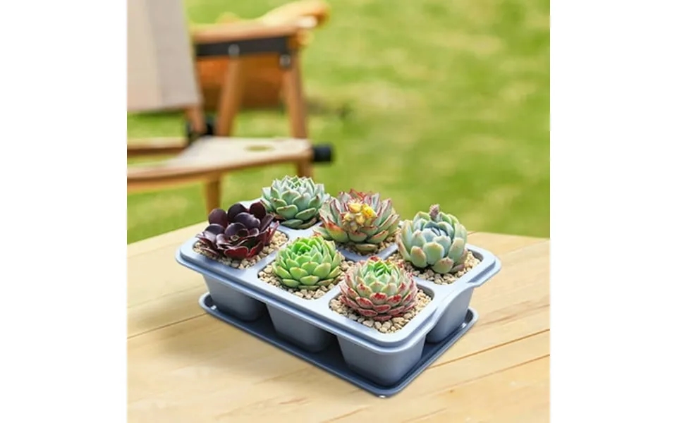 Weloille Nursery Fleshiness Pots Reusable Planting Trays Suitable For Flowers Vegetables
