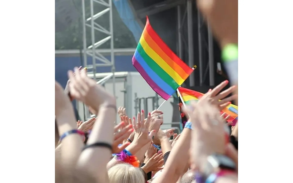 Whamvox 20pcs Handheld Rainbow Flags Gay Pride Rainbow Flags Flags Small Parade Rainbow Flags