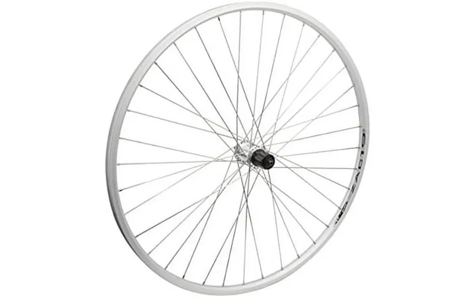 Wheel Master 700c Rear Wheel - Quick-release 36h 8-speed Cassette Hub Silver Silver Steel