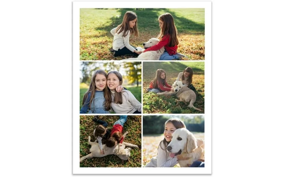 Wi Bol 8x10 Collage Print