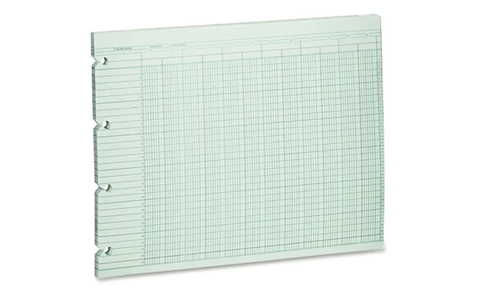 Wilson Jones Wljg1020 20-column Ruled Sheets 100 Pack