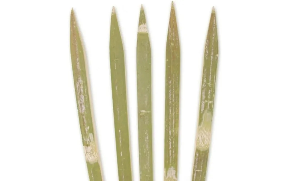 X 0.2 Extra Long Heavy Duty Square Bamboo Yakitori Bbq Skewers 500 Pieces