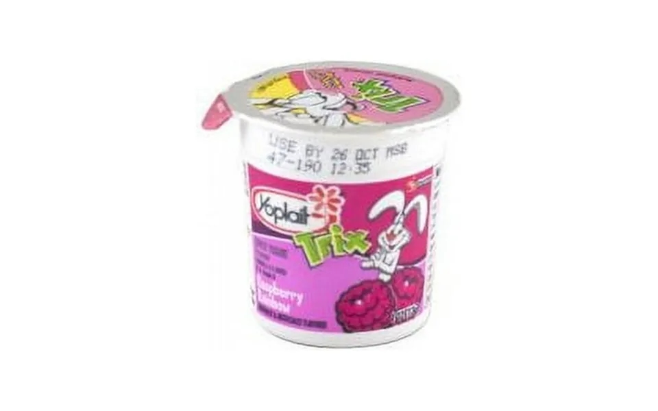 Yoplait Trix Raspberry Rainbow Yogurt 4 Ounce - 48 Per Case.