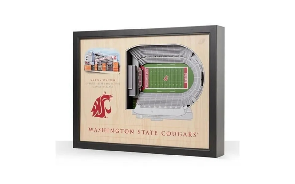 Youthefan 9022701 22.25 X 22 X 23 In. Ncaa Washington State Cougars 25-layer Stadiumviews 3d Wall Art - Martin Stadium