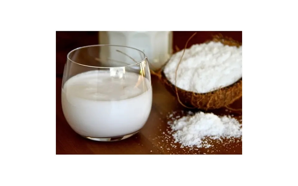 Z Natural Foods Organic Coconut Milk Powder Lactose Free Milk 33 Lbs