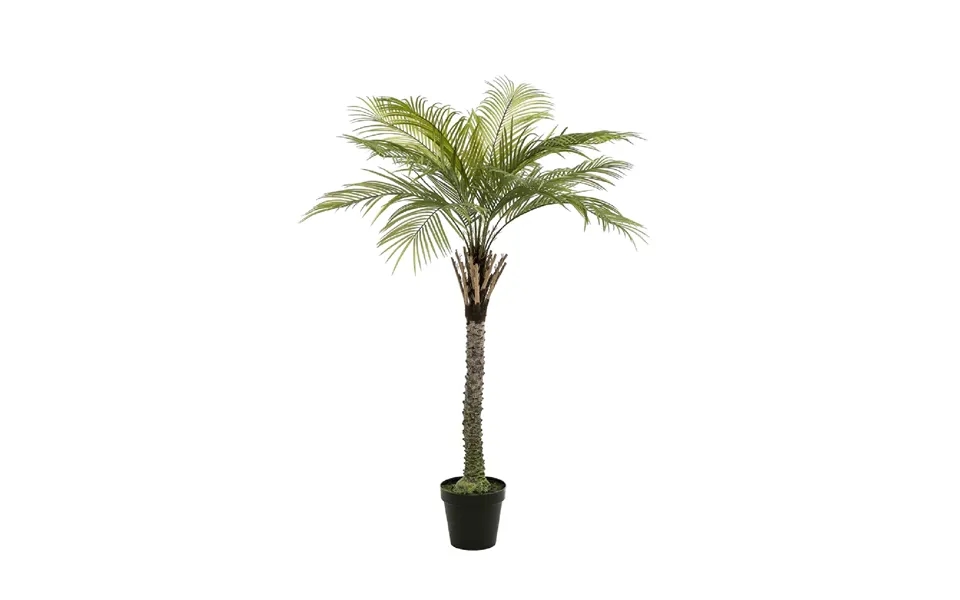 Artificial Date Tree Emerald Phoenix Palm Deluxe