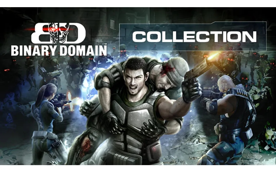 Binary Domain Collection