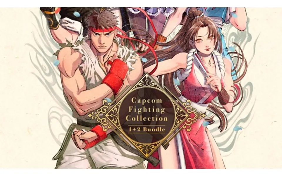 Capcom Fighting Collection 1 2 Bundle