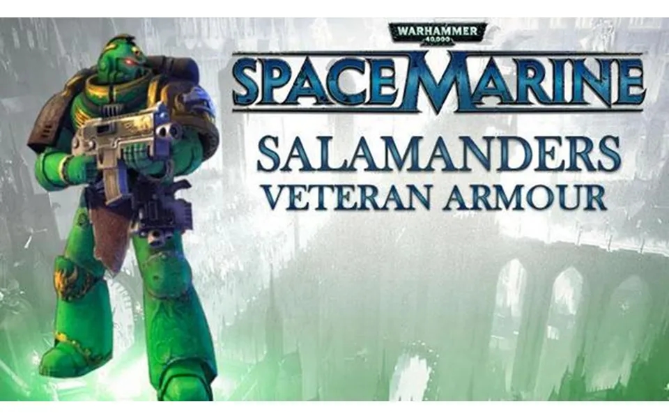 Warhammer 40,000 Space Marine - Salamanders Veteran Armour Set Dlc