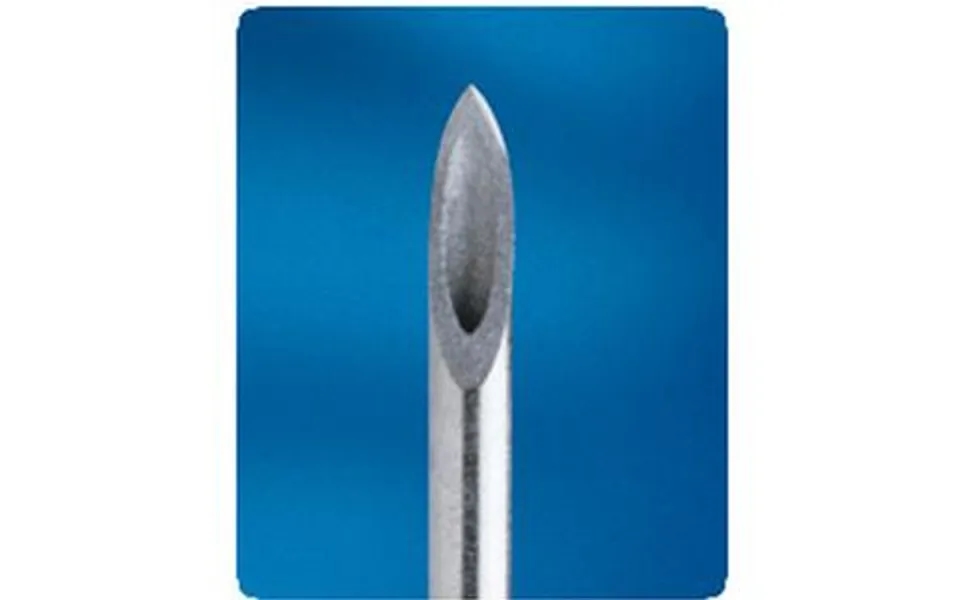 Bd Precisionglide Hypodermic Needle - Regular Bevel 21g X 2