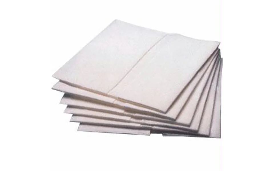 Tena Cliniguard Dry Wipes 10 X 13-1 4