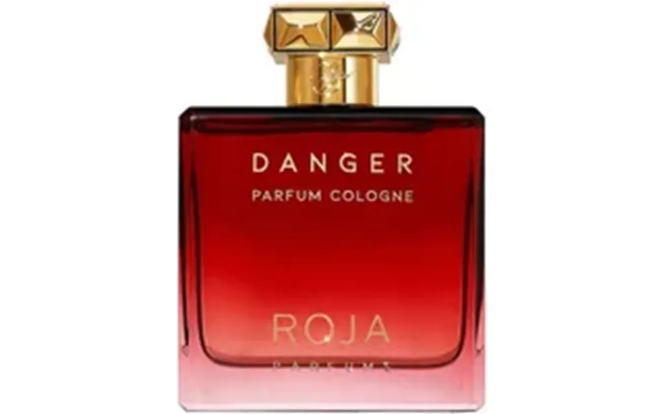 Roja Danger Pour Homme Parfum Cologne Spray 100ml