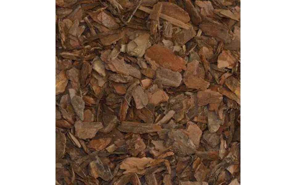 Cedarwood Essential Oil - 17ml & 60ml Sizes Fair Trade Ethically Sourced Size 17ml