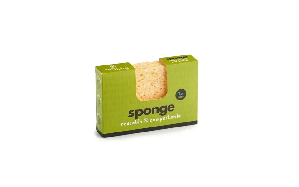 Compostable Uk Sponge Size Large Single