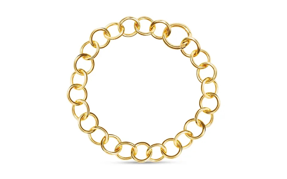 Daphne Thick Gold Chain Choker Necklace