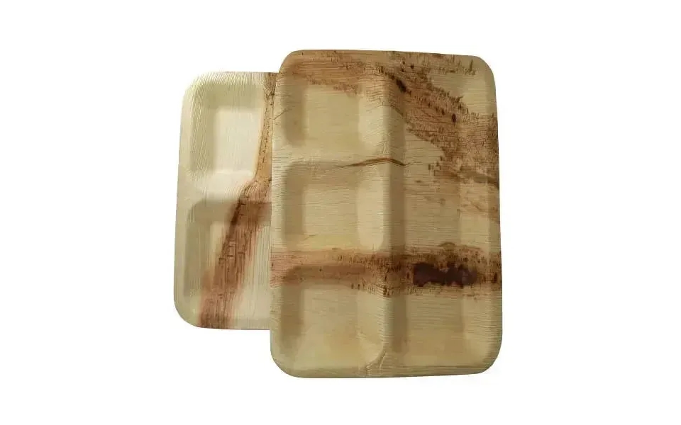 Dtocs Compartment Plate - Palm Leaf Plate 11x9 Inch Pack 50 Bamboo Plate Like Portion Plate