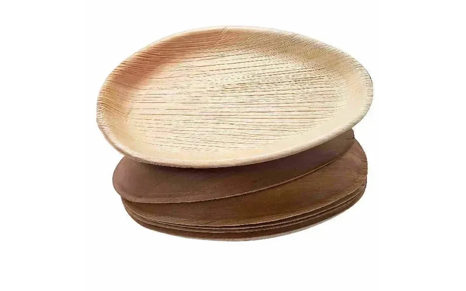 Dtocs Compostable Palm Leaf Plates 10x6 Inch Pack 50 Usda Certified Biobased Compostable Bamboo Plates Like Designer Dis