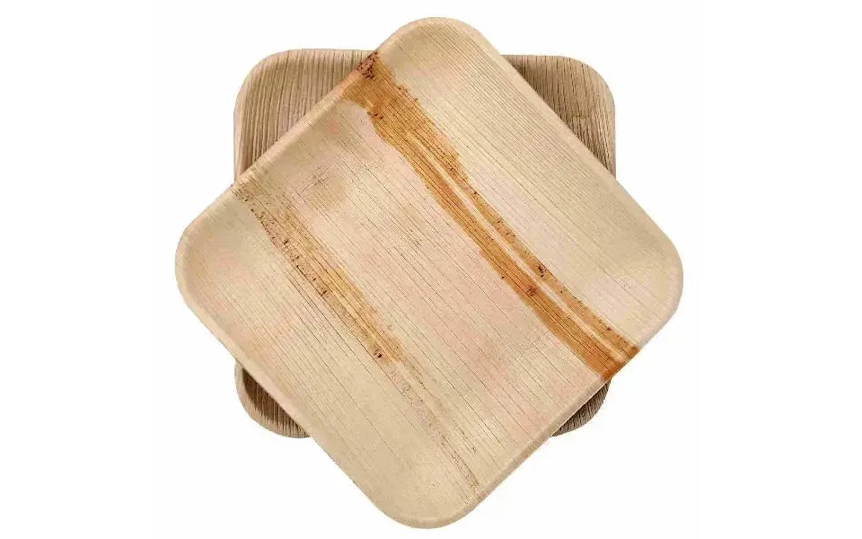 Dtocs Compostable Palm Leaf Plates - 8 Inch Square Pack 50 Usda Certified Biobased Compostable Bamboo Look Dinner, Snack