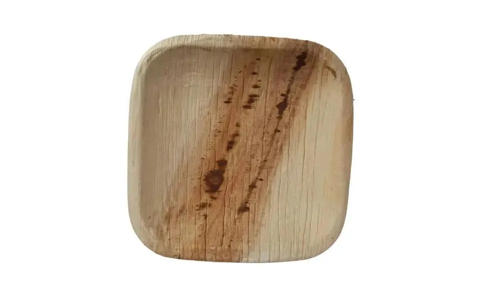 Dtocs Palm Leaf Plates 4 Inch Square Pack 50 Tasting Plates Bamboo Plate Like Compostable Disposable Wedding Plates For
