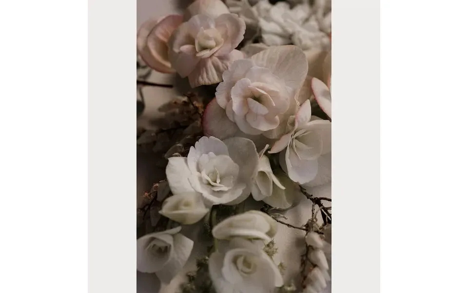 Love Letter - 6 Size 24 X 36