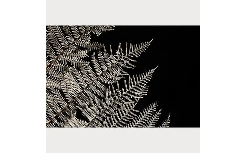 Nordic Simplicity - 1 Size 32 X 48