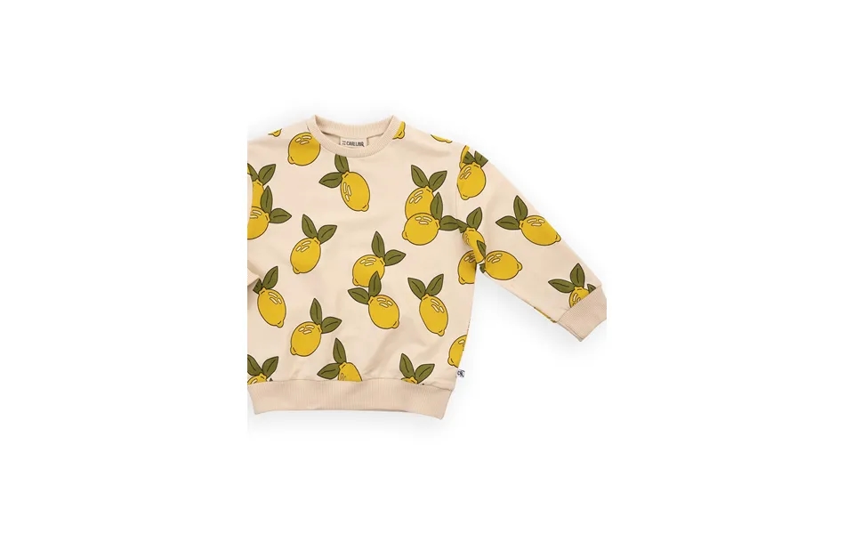 Organic Cotton Kid's Jumper - Lemon Size 2-4 Years