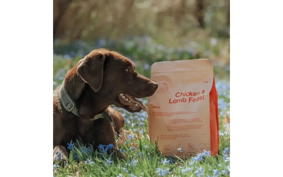 Sample Chicken & Lamb Feast - 100g