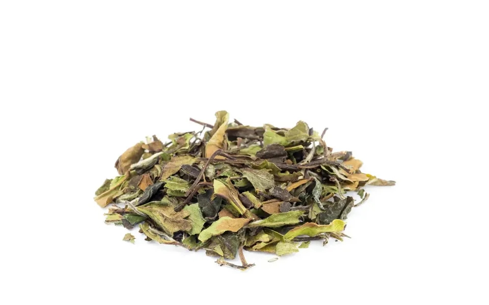 Wild Bai Mu Dan