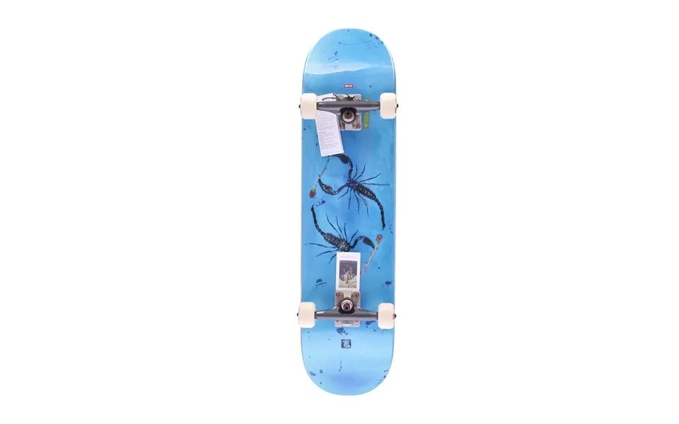 G2 Rholtsu Men's Assembled Skateboard