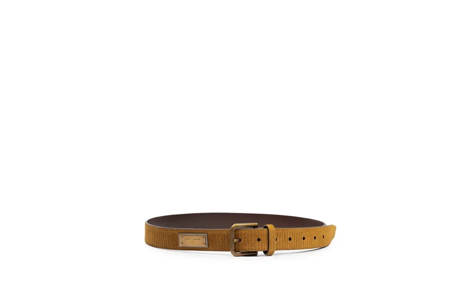 Velvet Logo Belt Dolce & Gabbana