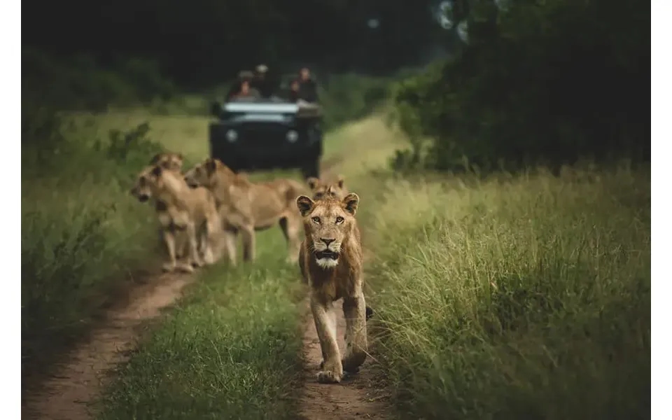 Honeymoon Kruger & Seychelles' Mahe