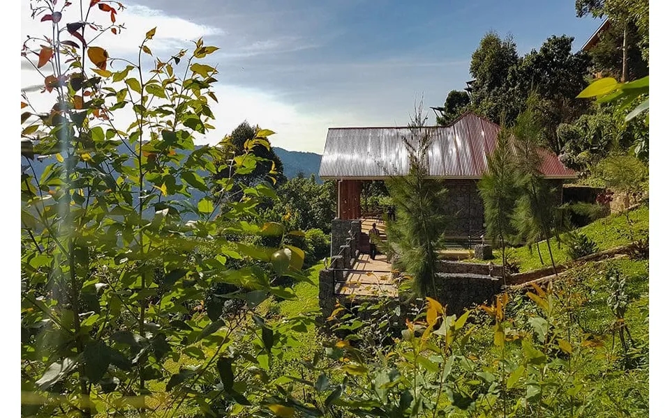 Ugandaâ S Luxury Gorilla Safari