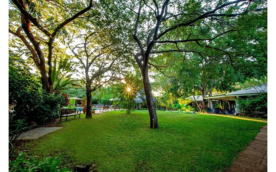 Zimbabwe's Hidden Gems Wildlife Safari