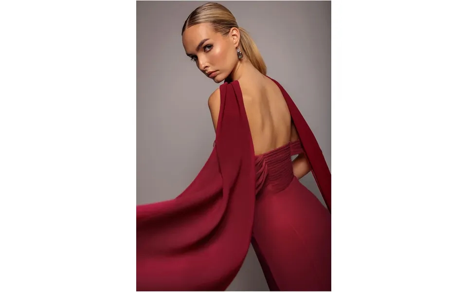 Goddiva Chiffon Scarf - Burgundy