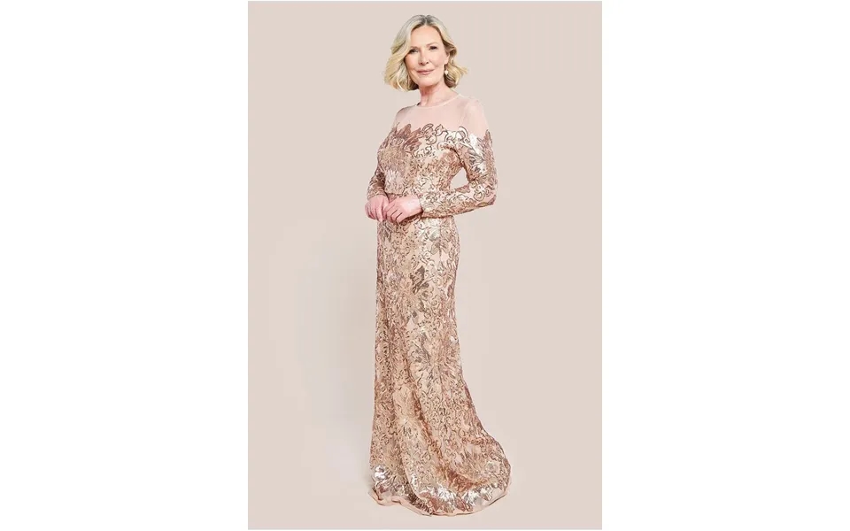 Goddiva Floral Sequin Mesh Maxi Dress - Champagne