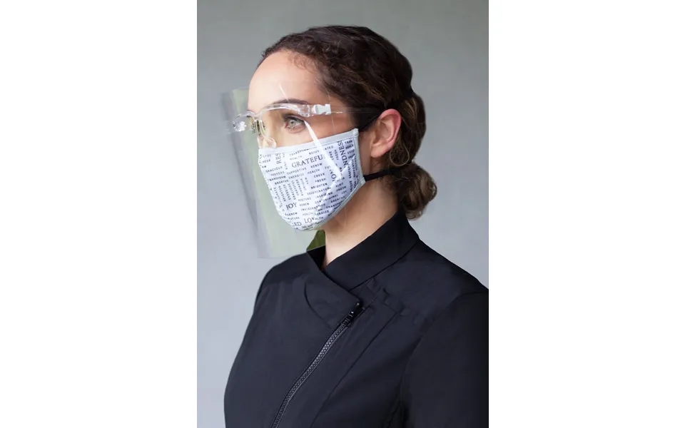 Replacement Face Shields 10-pack