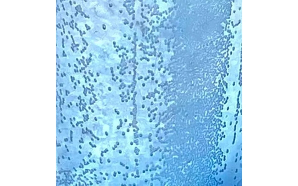 Smashprops Breakaway Large Mason Jar Prop - Light Blue Translucent