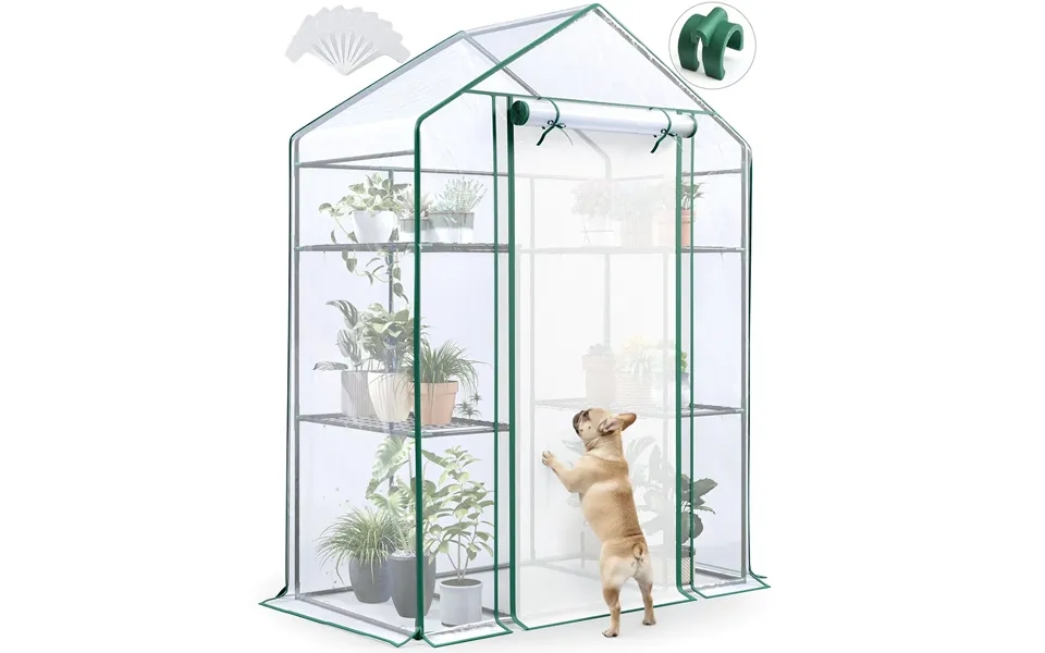 56 X29 X77 Indoor Greenhouse - Clear