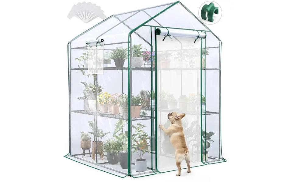 56 X56 X77 Walk-in Greenhouse - Clear