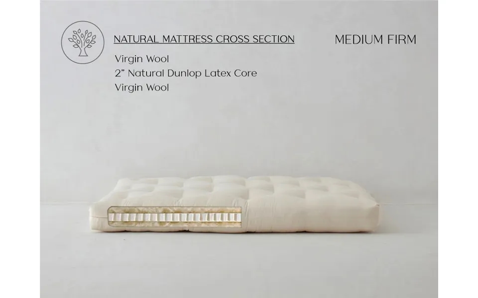 Queen Loveseat Latex Wool Couch Futon Medium Firm Ecopure The Futon Shop