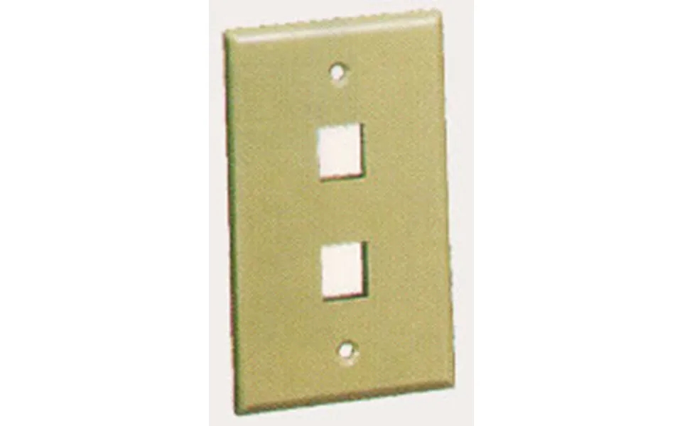Icc Ic107f02-iv 2 Port Face Ivory