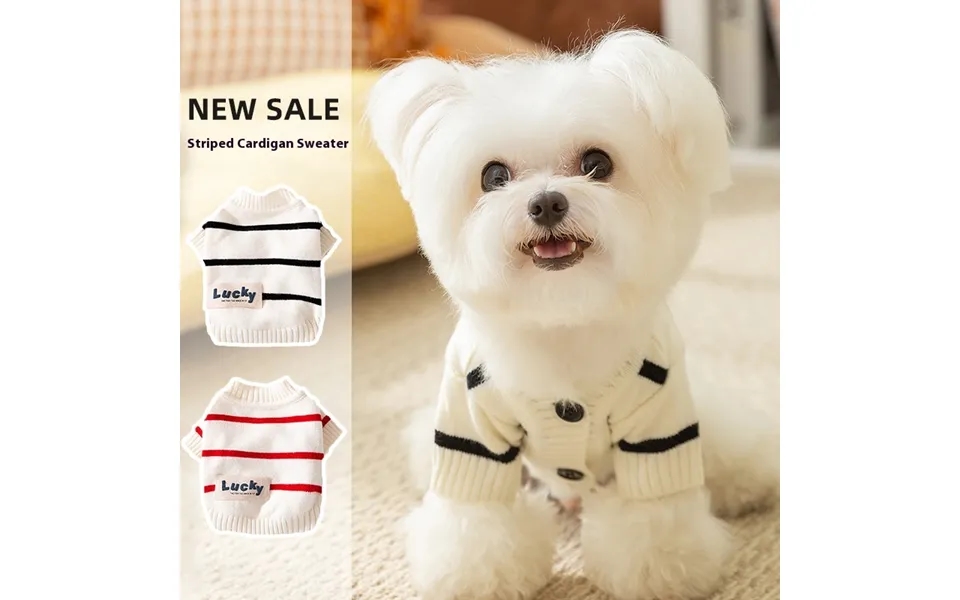 24 Year New Sweater For Cats - Autumn Winter Two Legged Striped Front Opening